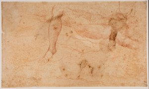 Studies of Nudes