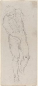 Male Nude