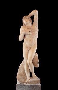 Captive, known as The Dying Slave by Michelangelo Buonarroti