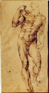 Study of a Standing Nude Man by Michelangelo Buonarroti