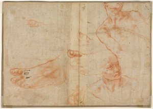 Figure Studies for the Sistine Ceiling (verso)