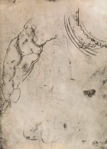 Male Legs