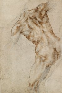 Nude Male Torso, Early 16th Century by Michelangelo Buonarroti