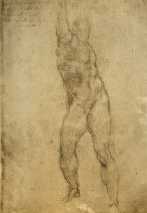 Nude Study by Michelangelo Buonarroti