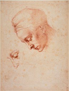 Studies for the head of 