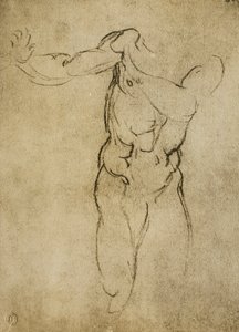 Study for a masculine bust by Michelangelo Buonarroti