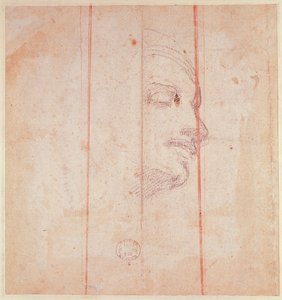 Study for the Head of the Libyan Sibyl by Michelangelo Buonarroti
