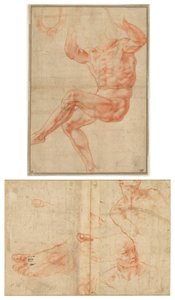Study for the Nude Youth over the Prophet Daniel; Figure Studies for the Sistine Ceiling by Michelangelo Buonarroti