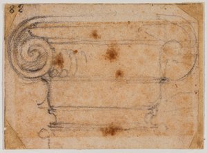 Study of Ionic Capital