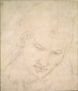 Study of a Head by Michelangelo Buonarroti