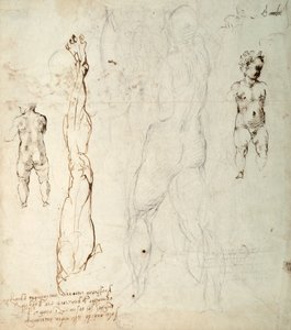 Study of the Christ Child and an Anatomical Drawing with Notes (verso) by Michelangelo Buonarroti