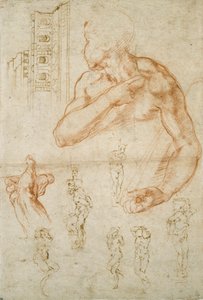 Various Studies for the Sistine Ceiling and the Tomb of Pope Julius II