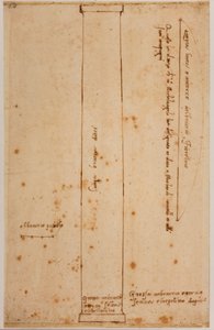 Vertical section of column for the facade of San Lorenzo by Michelangelo Buonarroti