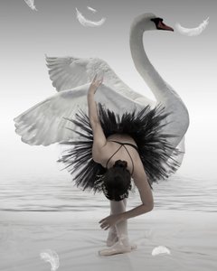 Black Swan Ballerina
