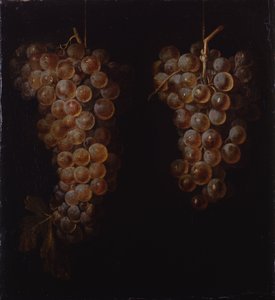 Bunches of Grapes by Miguel de Pret