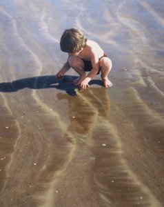 Searching for Shells by Mike Briscoe