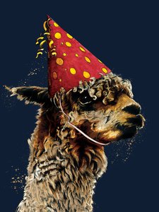 Birthday Alpaca on Midnight Blue, 2020