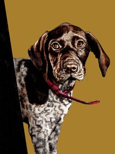 Bye Bye Puppy on Golden Yellow, 2020