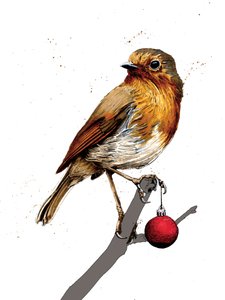 Christmas Robin on White