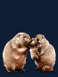 Engaged Prairie Dogs on Midnight Blue, 2020