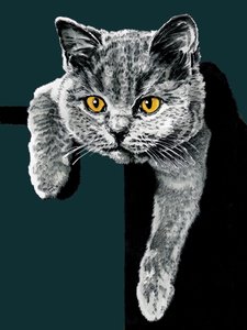 Flora The Kitten on Deep Cyan