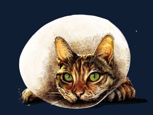 Get Well Cat on Midnight Blue, 2020 by Mike Davis