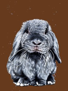 Grey One The Bunny by Mike Davis