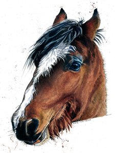The Horse on White by Mike Davis