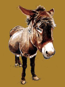 The Little Donkey on Golden Yellow, 2020 by Mike Davis