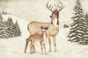 Deer Wearing Cozy Hats by Mike Koubou