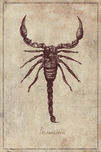 Palamnaersus Specie by Mike Koubou