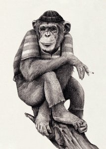Smoke & Chill by Mike Koubou