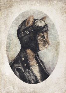 Stylish Cat Wearing A Leather Jacket by Mike Koubou