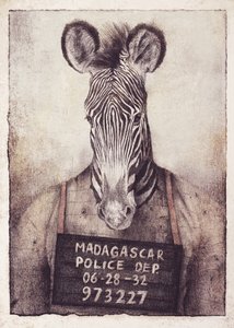 Zebra Mugshot Mystery by Mike Koubou
