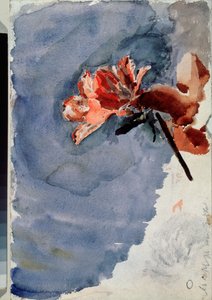 Red Azalea