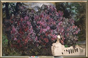 Lilacs