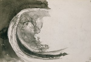 Pearl Mussel, 1904
