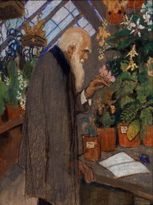 Portrait of Scientist Charles Robert Darwin (1809-1882) Examining Plants in the Langdon-Down Greenhouse