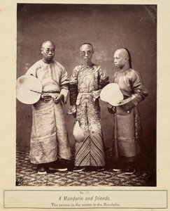 A Mandarin and Friends