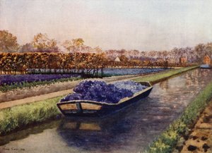 A Boatload of Fragrance