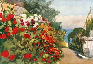 The Dahlia Border, Villa Hvidore