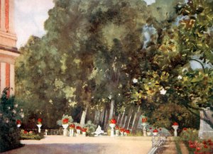 The Magnolia Tree, Aranjuez