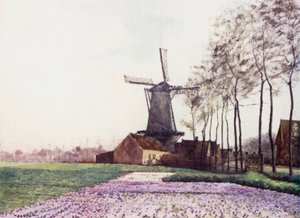 The Promise of Spring