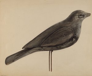 Decoy (Gull)
