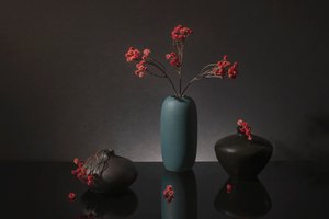 Elegant Red Berries Still Life by Ming Chen