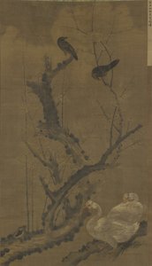Mynahs, Geese, and Flowering Plum