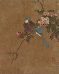 Ten pictures of birds and flowers