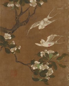Ten pictures of birds and flowers