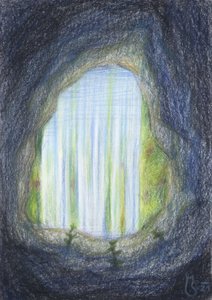 Enchanted Forest Cave