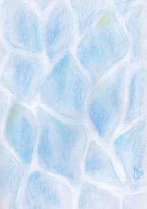 Serene Blue Reflections by Mirjam Schrei